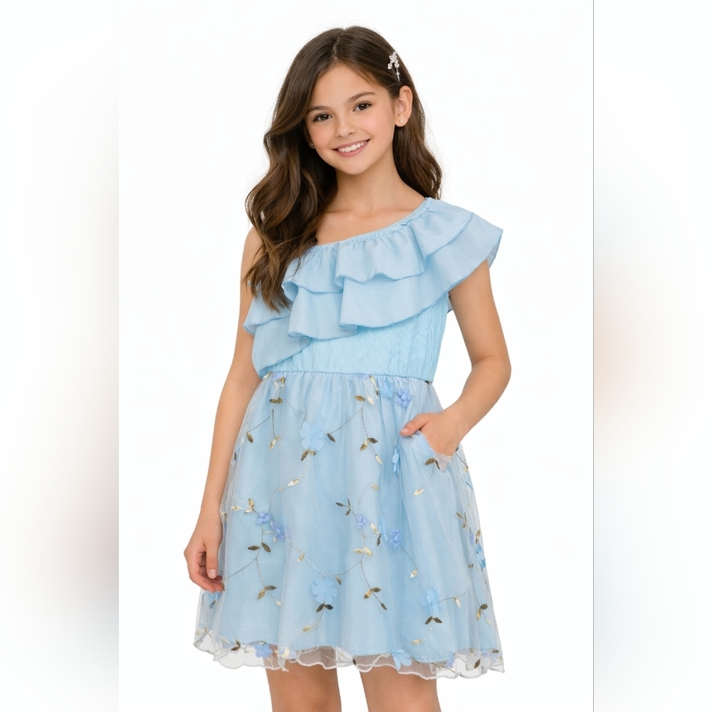 Girls Light Blue One Shoulder Ruffle Embroidered Mesh Dress 9Y